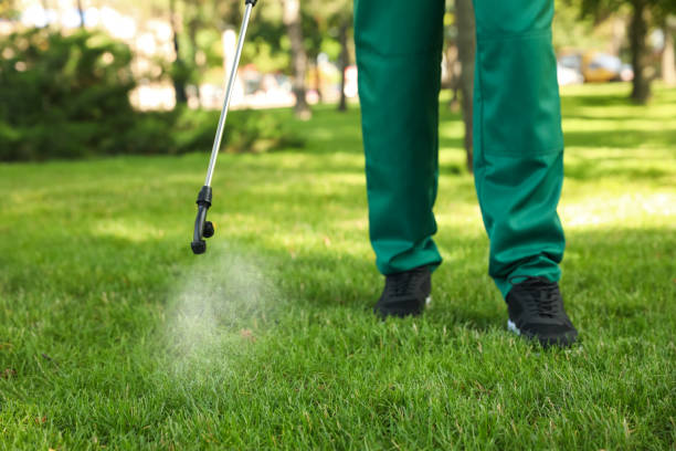 Wasp Removal Services in Waipahu, HI