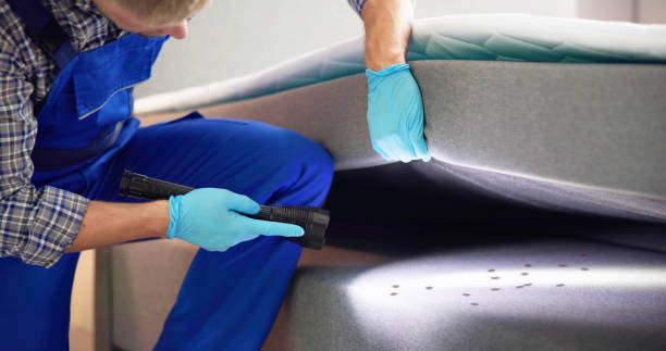Best Residential Pest Control  in Waipahu, HI