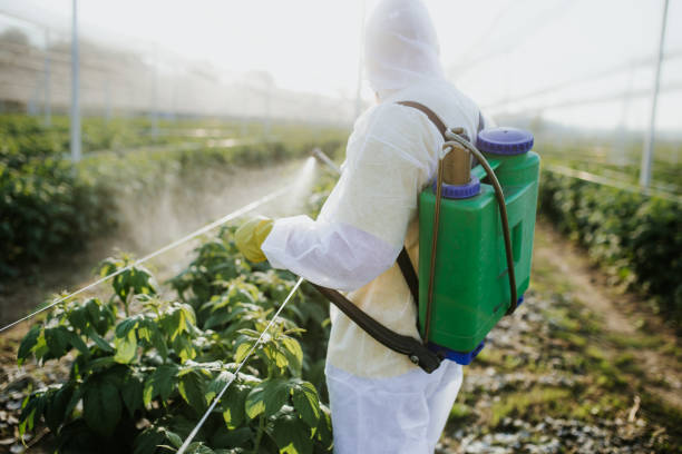 Best Emergency Pest Control  in Waipahu, HI